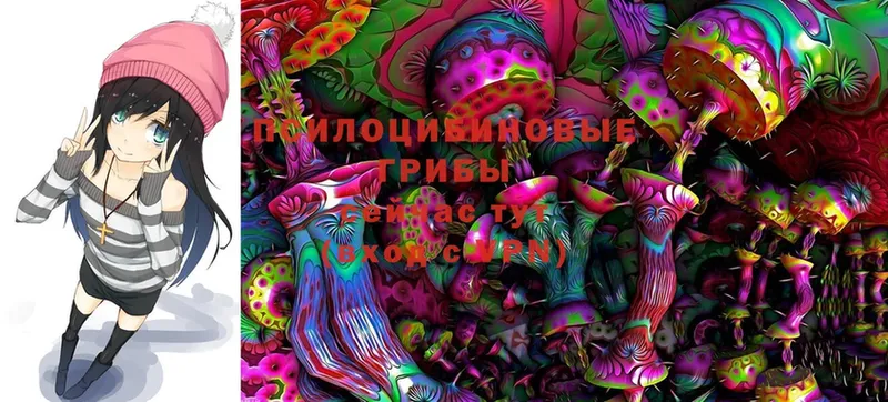 цена наркотик  Обнинск  Галлюциногенные грибы Cubensis 